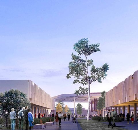 Yangi Özbekistan Üniversitesi Kampüs Projesi  